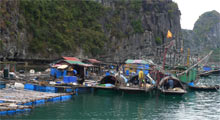 halong-bay-glory-cruise-fishing-village