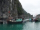 halong-white-dolphin-tour-to-vong-vieng-fishing-village