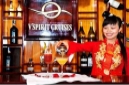 v-spirit-bar