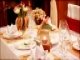 a-class-opera-cruise-sea-food