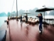 paradise-cruise-tai-chi-class