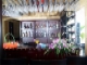 white-dolphin-cruise-bar