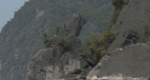 dog-islet-halong-bay-vietnam