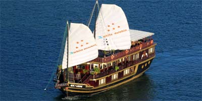 white-dolphin-halong-bay-cruise